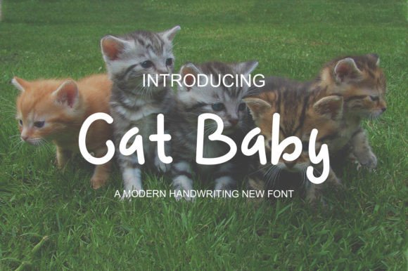 Cat Baby Font: A Bubbly Display Typeface for Joyful Editorial Design